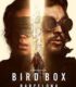 Bird Box- Barcelona izle – Film izle – HD Film izle-izle4k.com